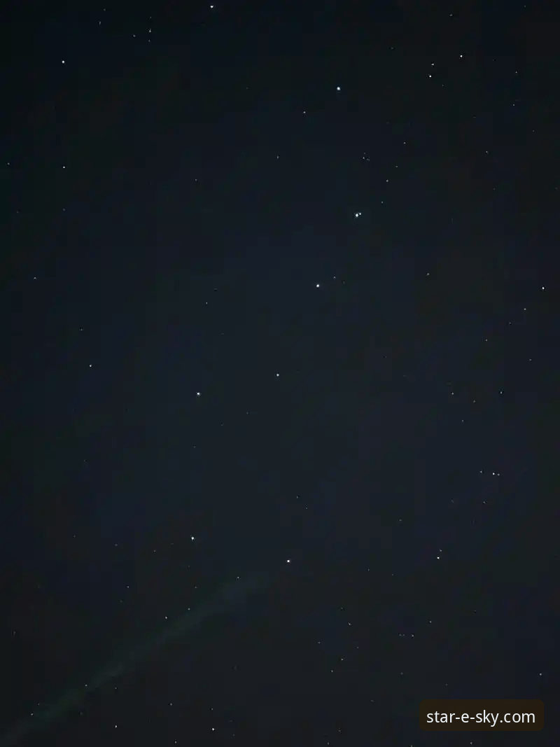 星空入口平台可靠性与未来趋势深度评测：聚焦2026星空无限官网